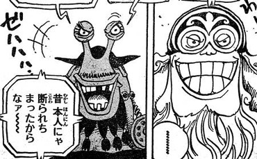 悲報 四皇 黒ひげ の右腕 弱すぎる ねいろ速報さん 悲報 四皇 黒ひげ の右腕 弱すぎる ねいろ速報さん