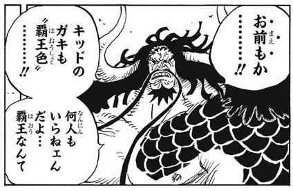 ワンピース カイドウ 覇王色多すぎ ねいろ速報さん