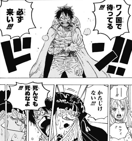 ワンピース ジンベエ まだワノ国に来ない ねいろ速報さん ワンピース ジンベエ まだワノ国に来ない ねいろ速報さん