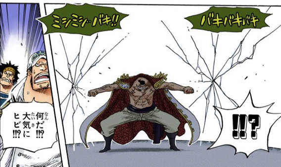 画像 ワンピース 最強の悪魔の実ランキング Best10 ねいろ速報さん