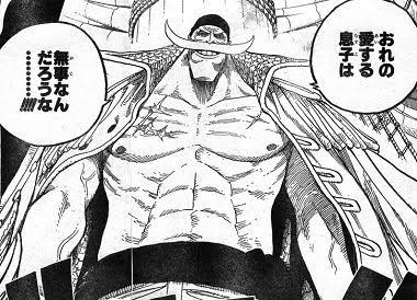 ワンピース 白ひげはカイドウやビッグマムに比べて弱い これ ワンピース 白ひげはカイドウやビッグマムに比べて弱い これ