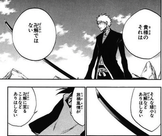 【BLEACH】（そうなの…？）