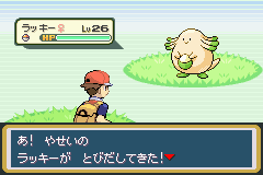 ポケモン 色違いラッキーがとびさしてきた ねいろ速報さん