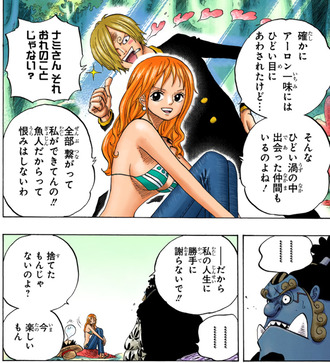 【ワンピース】ナミさん立派すぎる