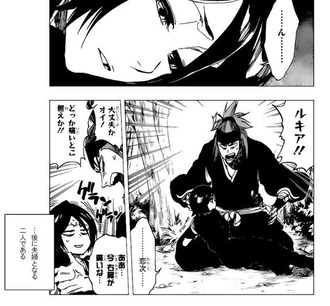 Bleach ルキアが恋次と結婚した理由がわからん 漫画まとめ うさちゃんねる