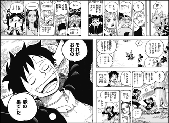 【ワンピース】ルフィの夢の果て