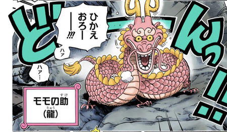 ワンピース 同じ 悪魔の実 は複数存在しない カイドウ と モモの助 同じ龍 漫画まとめ うさちゃんねる