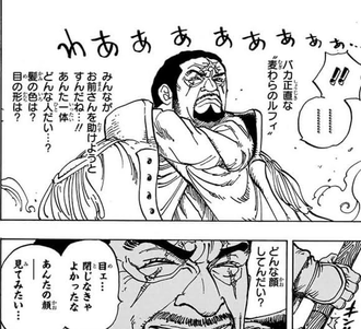 【ワンピース】藤虎「目閉じなきゃ良かった」