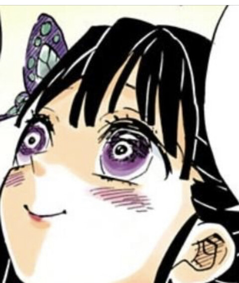 鬼滅の刃 カナヲとかいう炭治郎の嫁 ねいろ速報さん