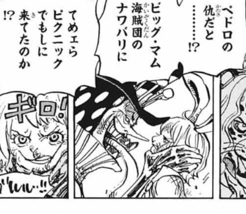 ワンピース ペロス ペドロの仇だと ねいろ速報さん