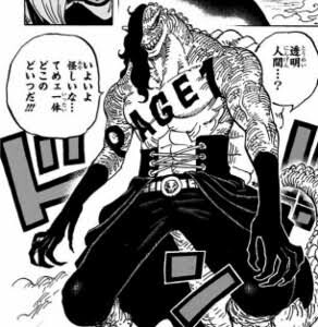 ワンピース 百獣海賊団 強過ぎない ねいろ速報さん