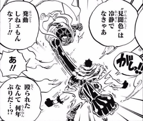 ワンピース 何でロギア系に覇気をまとった攻撃しても効かないことがあるの 漫画まとめ うさちゃんねる
