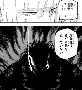 【呪術廻戦】宿儺の本気ってどの辺り？