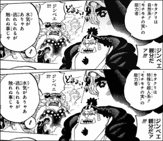 ワンピース 特殊な超人系は何が特殊なんだ ねいろ速報さん