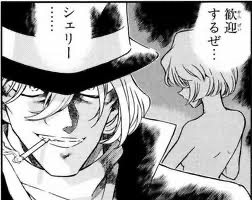 名探偵コナン ジンと灰原ってそういう関係 ねいろ速報さん