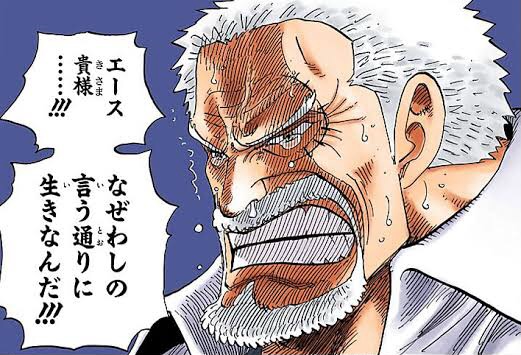 ワンピース 身内が犯罪者だらけの英雄