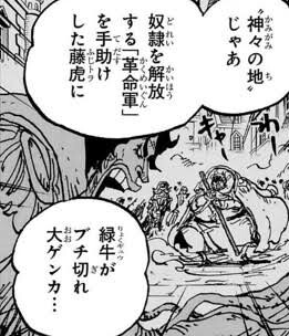 【ワンピース】藤虎頭おかしい