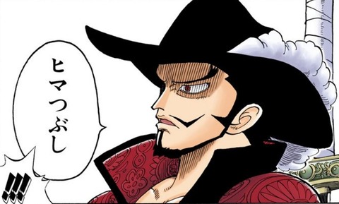 ワンピースのミホークって強そうな描写なくね ねいろ速報さん