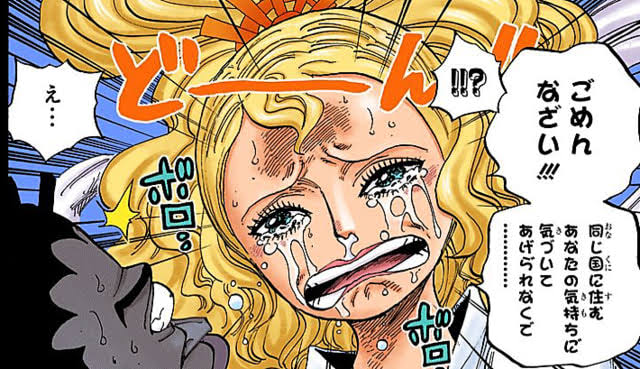 ワンピース オトヒメ可愛い 海賊王に俺はなる ルフィの冒険 One Piece
