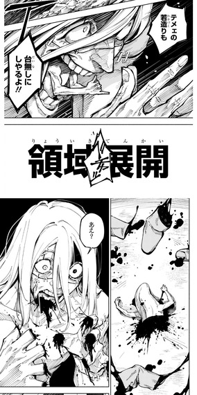 【呪術廻戦】正直欠陥技じゃね？