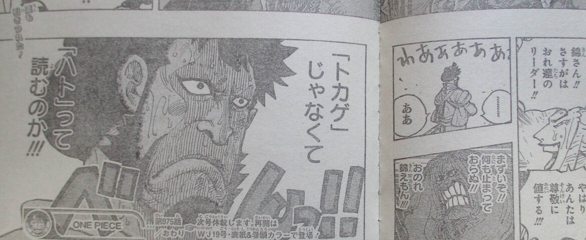 ワンピース 975話 錦えもんガチで凄かった ねいろ速報さん ワンピース 975話 錦えもんガチで凄かった ねいろ速報さん