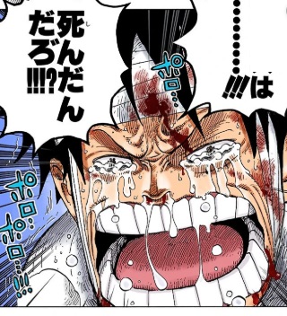 ワンピース サボは死んだんだろ ねいろ速報さん ワンピース サボは死んだんだろ ねいろ速報さん
