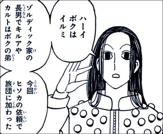 【ハンターハンター】一対一が趣味なヒソカが旅団の人員増やすような依頼してるの何なんだろう