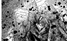 ケンガンオメガ 127話 感想 若槻タフ過ぎる ねいろ速報さん ケンガンオメガ 127話 感想 若槻タフ過ぎる ねいろ速報さん