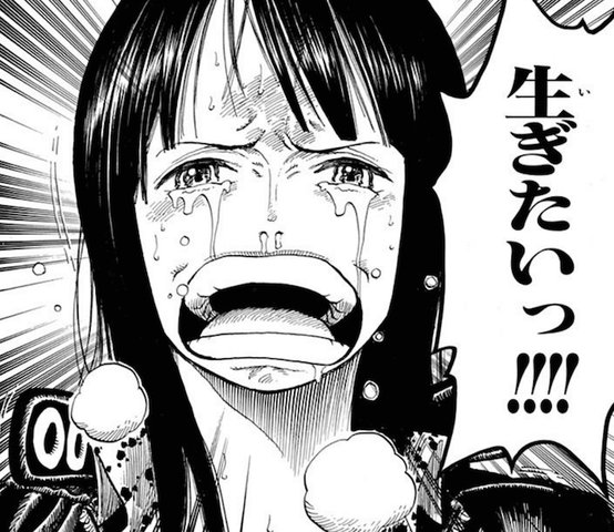 ワンピースで一番好きなシーン絶対に被らない説 ねいろ速報さん