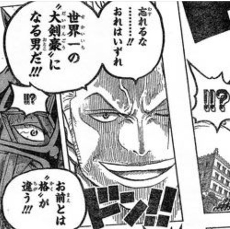 ゾロ「おれが世界一の剣豪にくらいならねぇとお前が困るんだよな…!!!」 fab2ee18 s - ゾロ「おれが世界一の剣豪にくらいならねぇとお前が困るんだよな…!!!」