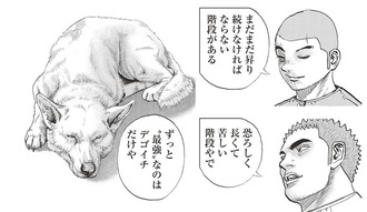 タフ最強キャラ決定！