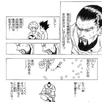 【ハンターハンター】星持ってるハンターって微妙なの多くね