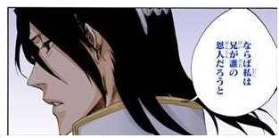 【BLEACH】白哉→一護が重すぎないか？