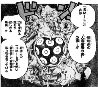 ワンピース スマイル 力を求める誰もが欲しがる果実 これ ワンピース スマイル 力を求める誰もが欲しがる果実 これ