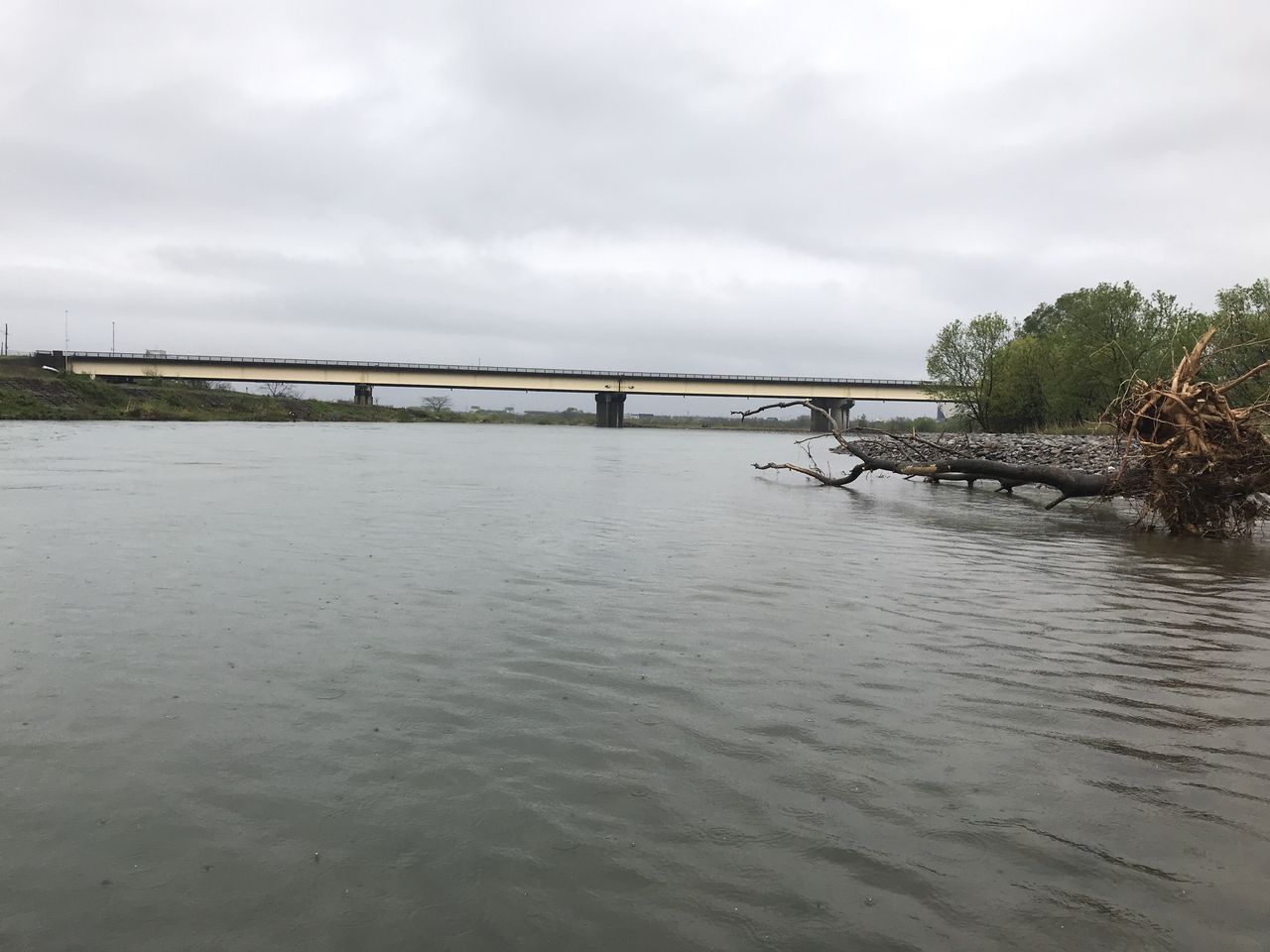 船長日記 18 04 18サクラマス釣行も最終日は午前中だけの勝負です Arcadia Saltwater Service