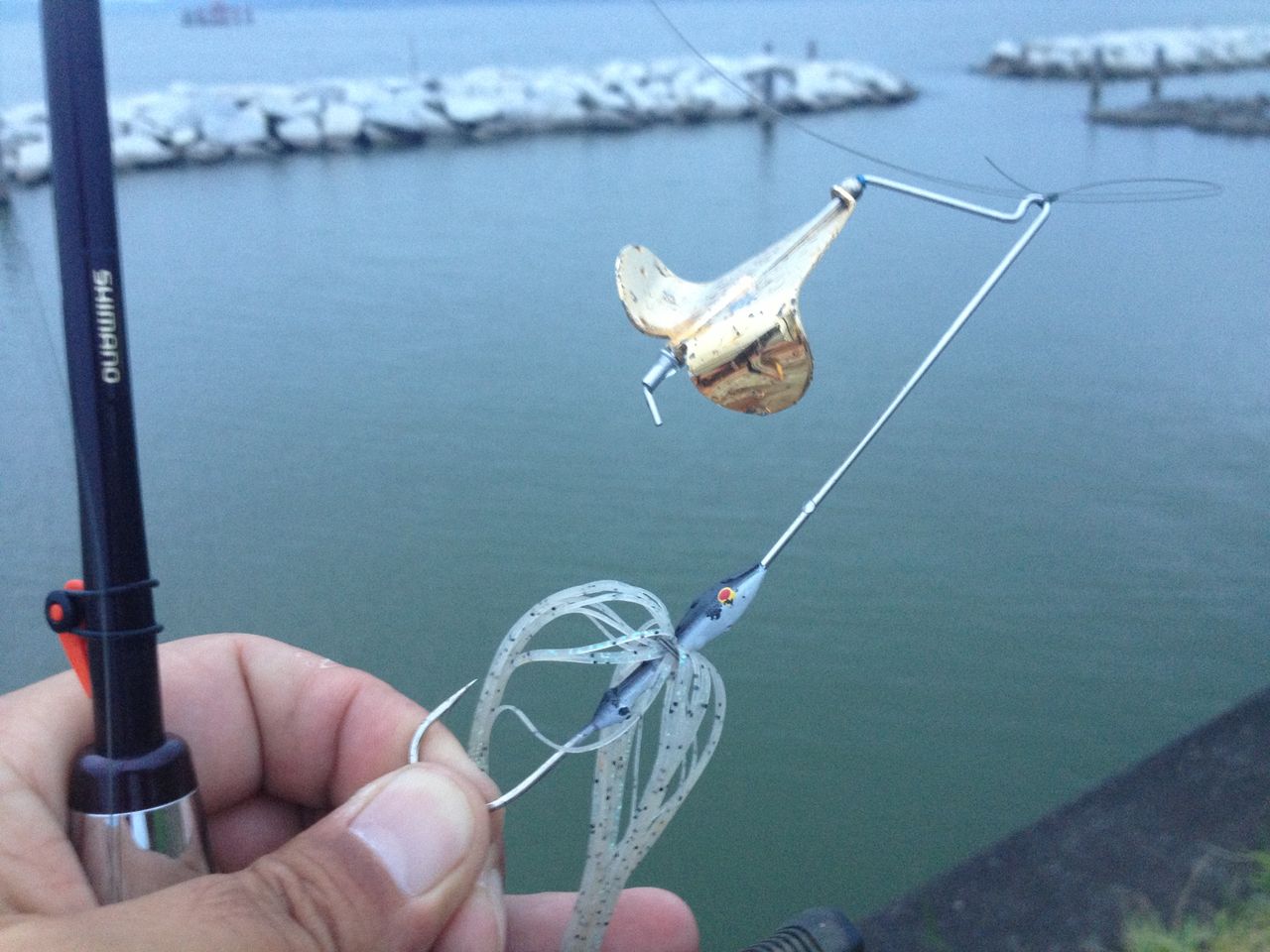 心に強く訴えるゲーリーヤマモト バズベイト すべての魚の画像 心に強く訴えるゲーリーヤマモト バズベイト すべての魚の画像
