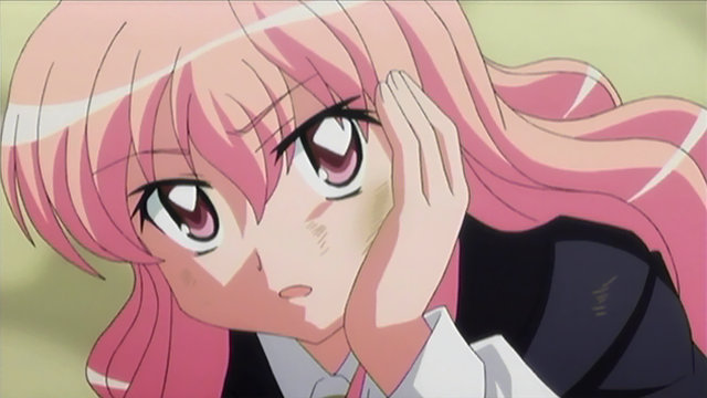 時間がただ流れてくゼロの使い魔 第6話 「盗賊の正体」