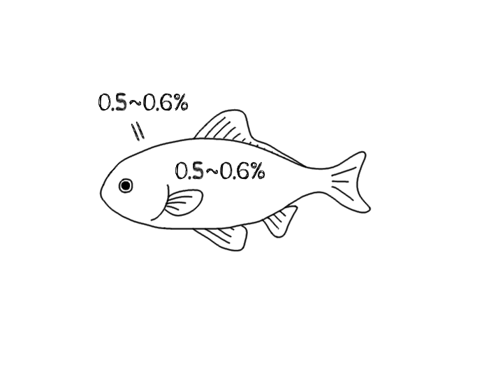 決定版 金魚の塩水浴の方法および期間 病気の初期症状にも有効 金魚一筋 100 金魚飼育ガイド