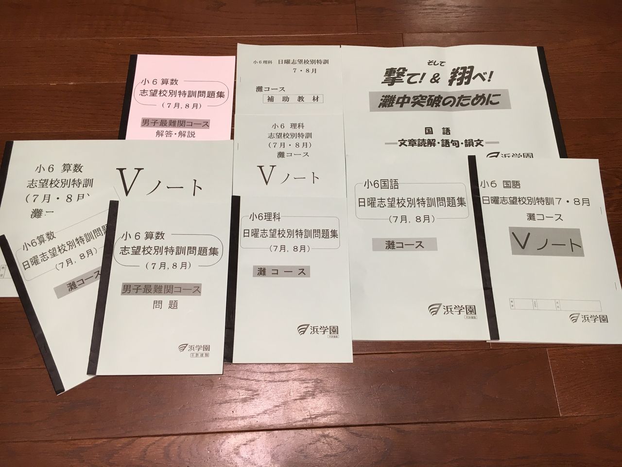 上記の2冊セットです浜学園　小6国語　日曜志望校別特訓　灘　詩　演習　PART1,2 送料込み　匿名