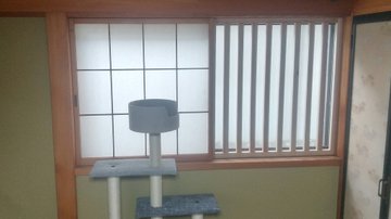 GSa0zMJXQAAevmv