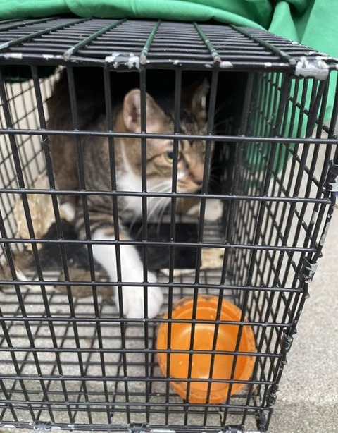 ８月３０日マンボ