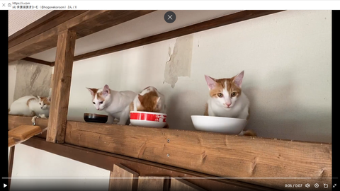 スクリーンショット 2025-09-13 232659