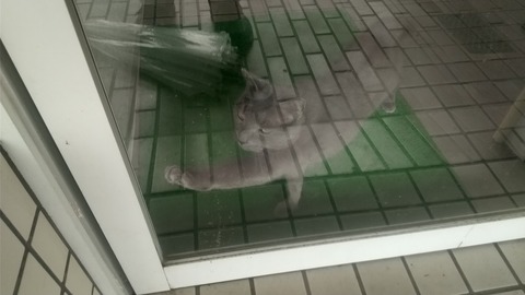 ケイスケ昼 (2)