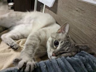 亀井うるる５（マライア）