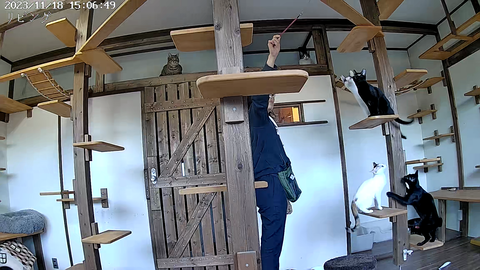 5542551239_1700465375405