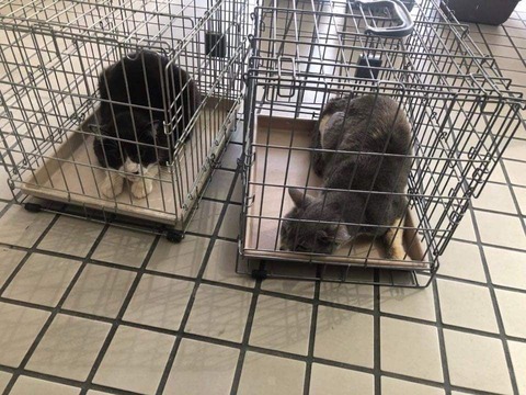 おじさん&おじいちゃん