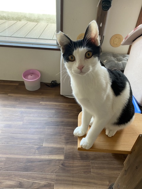 カズオ宣材写真