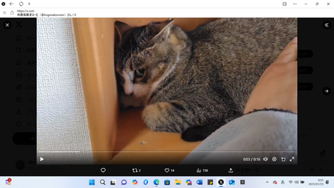 スクリーンショット 2025-01-23 005509