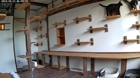 5542551239_1697144660019