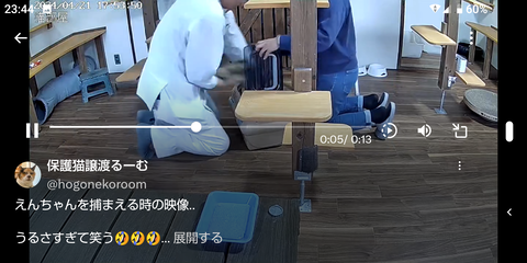 Screenshot_20240421-234405